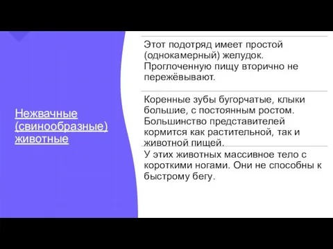 Нежвачные (свинообразные) животные