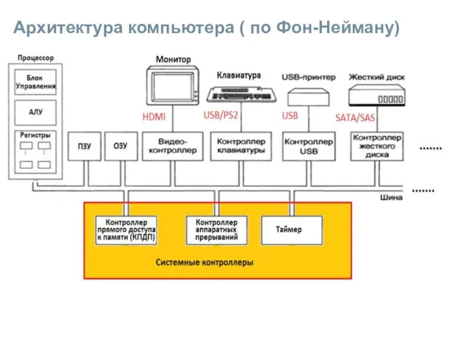 Архитектура компьютера ( по Фон-Нейману)