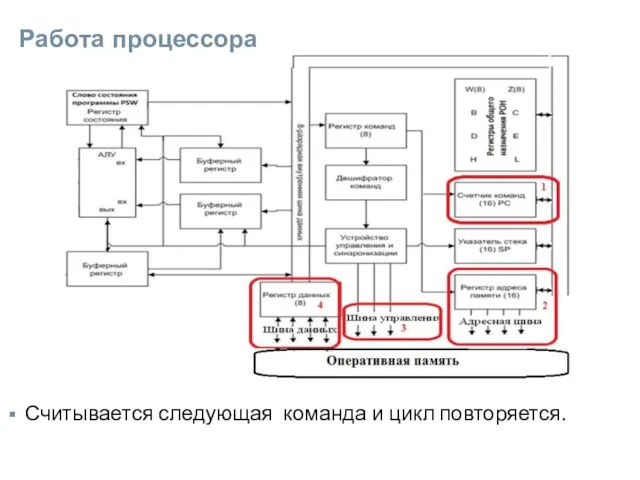 Работа процессора Считывается следующая команда и цикл повторяется.