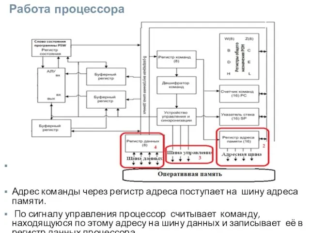 Работа процессора Адрес команды через регистр адреса поступает на шину адреса памяти.