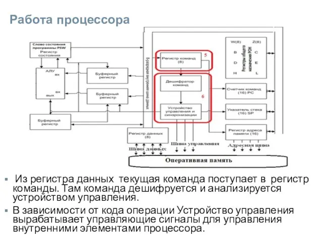 Работа процессора Из регистра данных текущая команда поступает в регистр команды. Там