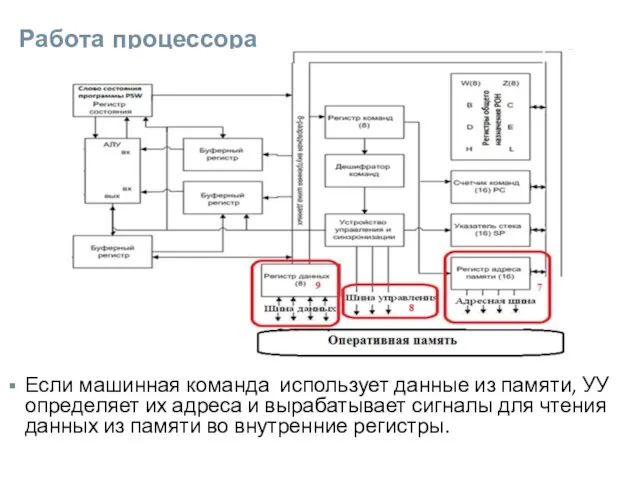 Работа процессора Если машинная команда использует данные из памяти, УУ определяет их