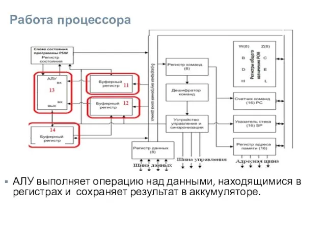 Работа процессора АЛУ выполняет операцию над данными, находящимися в регистрах и сохраняет результат в аккумуляторе.