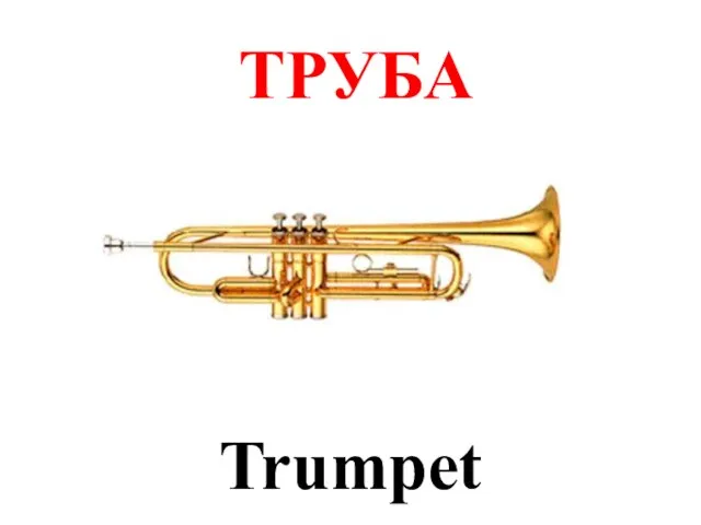 ТРУБА Trumpet