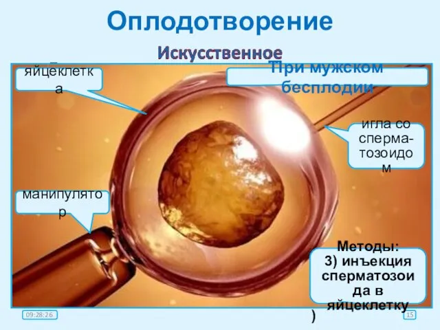 Оплодотворение оплодо-творение имплан-тация Главная причина: невозможность забеременеть естественным путём. Методы: 1) искусственная