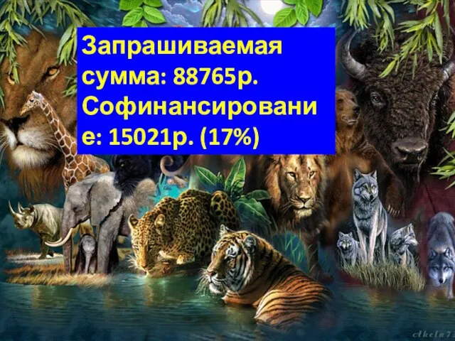 Запрашиваемая сумма: 88765р. Софинансирование: 15021р. (17%)