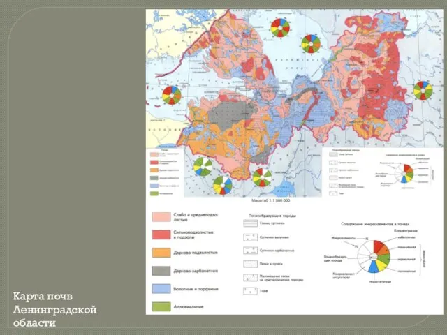 Карта почв Ленинградской области