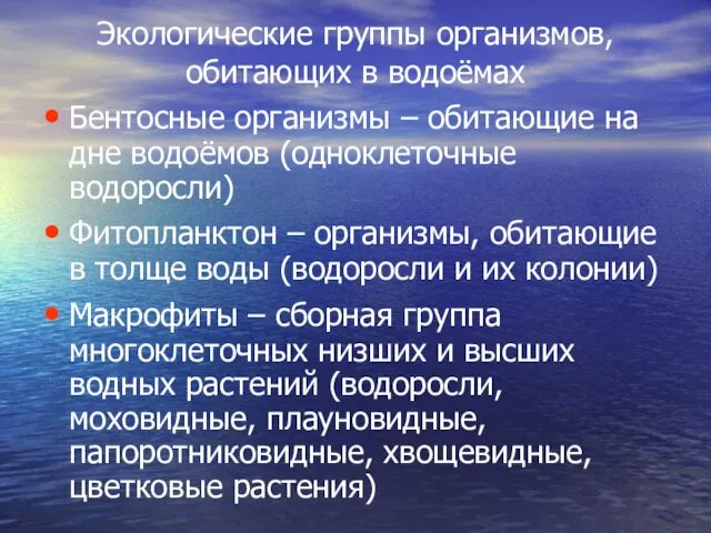 Экологические группы организмов, обитающих в водоёмах Бентосные организмы – обитающие на дне