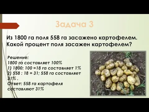 Задача 3 Из 1800 га поля 558 га засажено картофелем. Какой процент