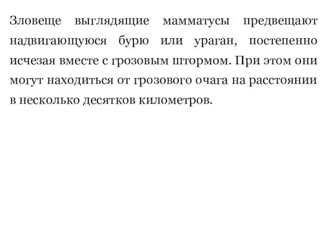 Зловеще выглядящие мамматусы предвещают надвигающуюся бурю или ураган, постепенно исчезая вместе с