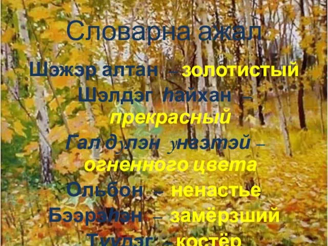 Словарна ажал Шэжэр алтан – золотистый Шэлдэг һайхан – прекрасный Гал дyлэн