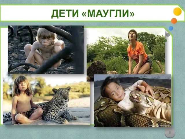 ДЕТИ «МАУГЛИ»