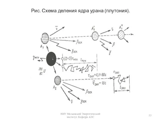 Рис. Схема деления ядра урана (плутония). НИУ Московский Энергетический институт. Кафедра АЭС
