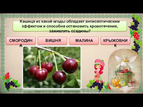 ВИШНЯ СМОРОДИНА Кашица из какой ягоды обладает антисептическим эффектом и способна остановить