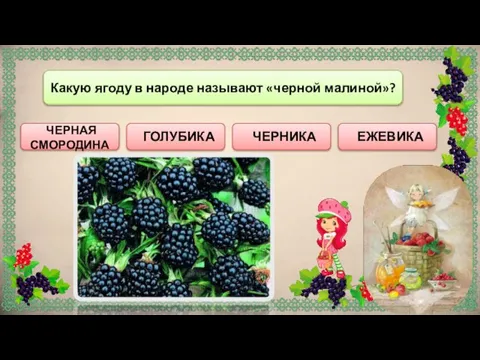 ЕЖЕВИКА ЧЕРНАЯ СМОРОДИНА Какую ягоду в народе называют «черной малиной»? ГОЛУБИКА ЧЕРНИКА
