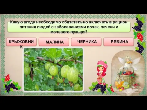 КРЫЖОВНИК МАЛИНА Какую ягоду необходимо обязательно включать в рацион питания людей с