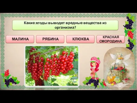 КРАСНАЯ СМОРОДИНА МАЛИНА Какие ягоды выводят вредные вещества из организма? КЛЮКВА РЯБИНА