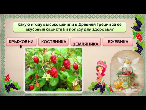 ЗЕМЛЯНИКА КРЫЖОВНИК Какую ягоду высоко ценили в Древней Греции за её вкусовые