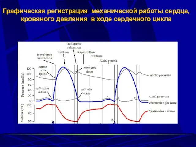 Графическая регистрация механической работы сердца, кровяного давления в ходе сердечного цикла