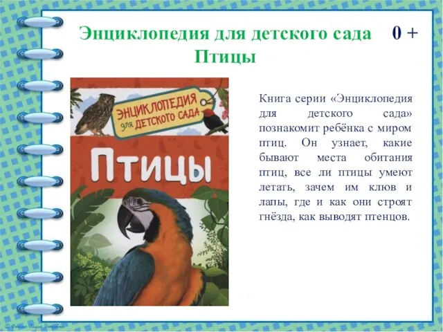 Энциклопедия для детского сада Птицы 0 + Книга серии «Энциклопедия для детского