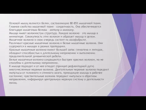 Основой мышц являются белки, составляющие 80-85% мышечной ткани. Главное свойство мышечной ткани