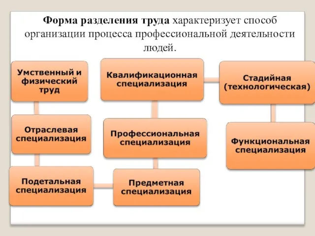 Форма разделения труда характеризует способ организации процесса профессиональной деятельности людей.