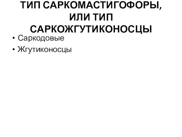 ТИП САРКОМАСТИГОФОРЫ, ИЛИ ТИП САРКОЖГУТИКОНОСЦЫ Саркодовые Жгутиконосцы