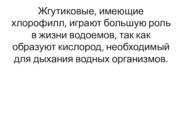 Жгутиковые, имеющие хлорофилл, играют большую роль в жизни водоемов, так как образуют