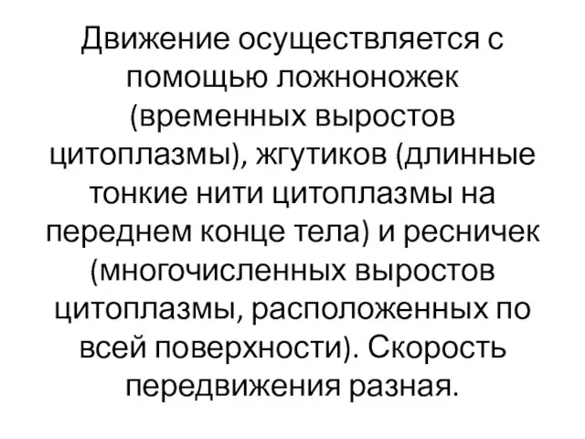 Движение осуществляется с помощью ложноножек (временных выростов цитоплазмы), жгутиков (длинные тонкие нити