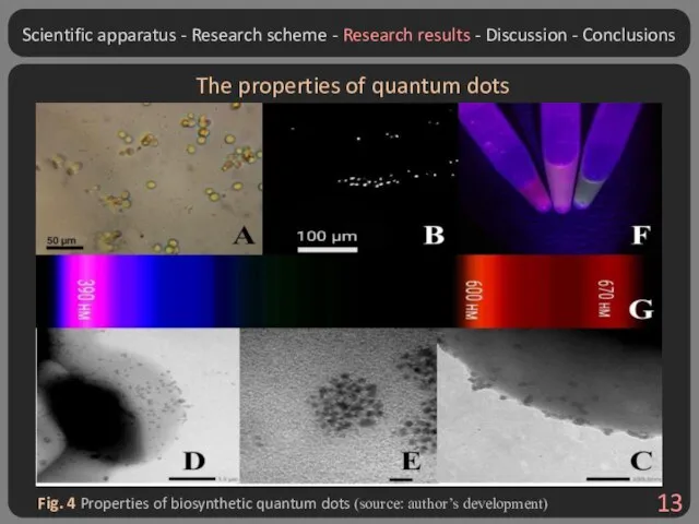 Fig. 4 Properties of biosynthetic quantum dots (source: author’s development) The properties