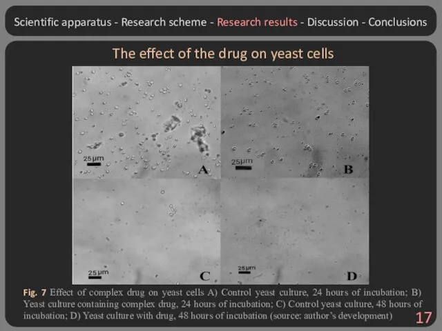 The effect of the drug on yeast cells Fig. 7 Effect of