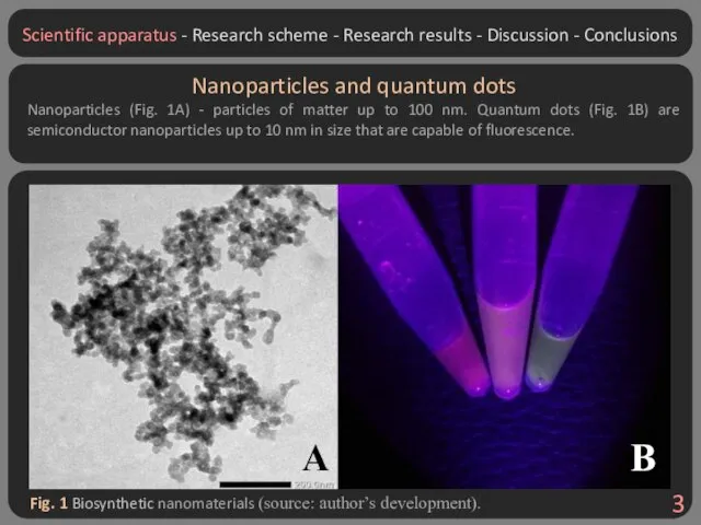 Fig. 1 Biosynthetic nanomaterials (source: author’s development). Nanoparticles and quantum dots Nanoparticles
