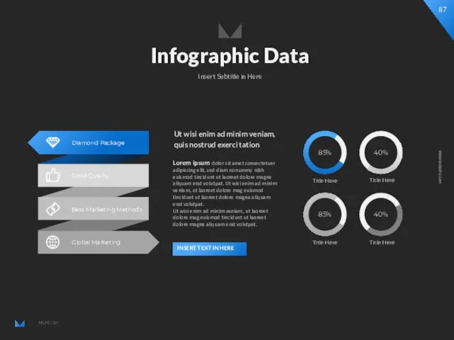 Infographic Data Insert Subtitle in Here Lorem ipsum dolor sit amet consectetuer