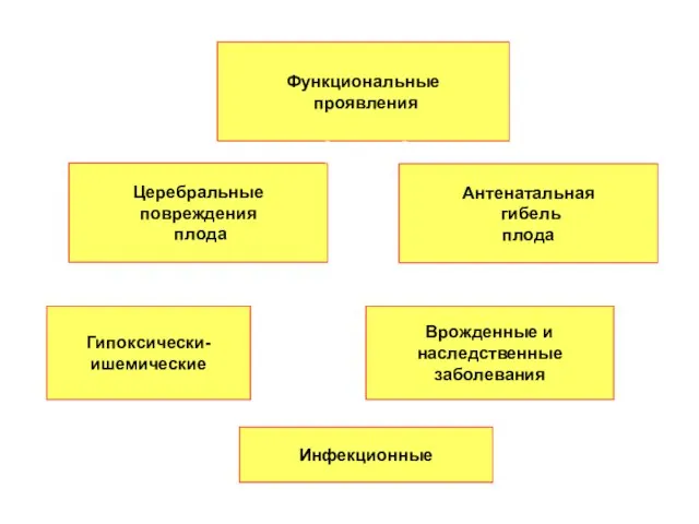 Церебральные повреждения плода Антенатальная гибель плода Функциональные проявления Гипоксически- ишемические Инфекционные Врожденные и наследственные заболевания