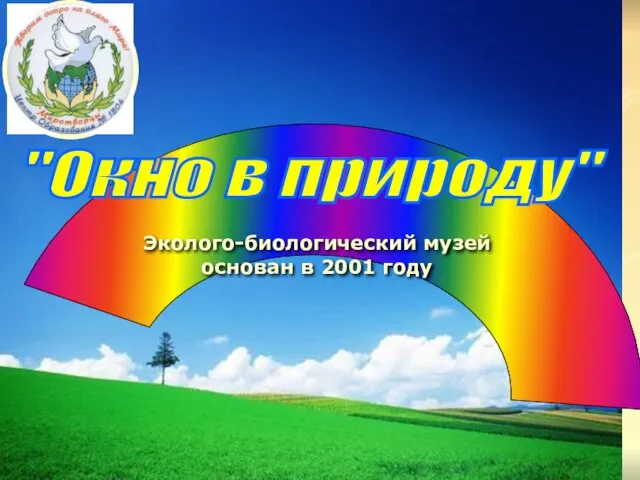 Эколого-биологический музей основан в 2001 году "Окно в природу"