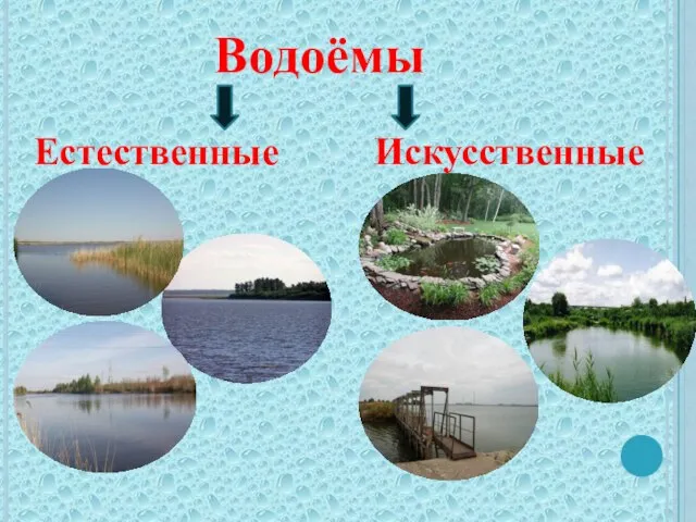 Водоёмы Естественные Искусственные