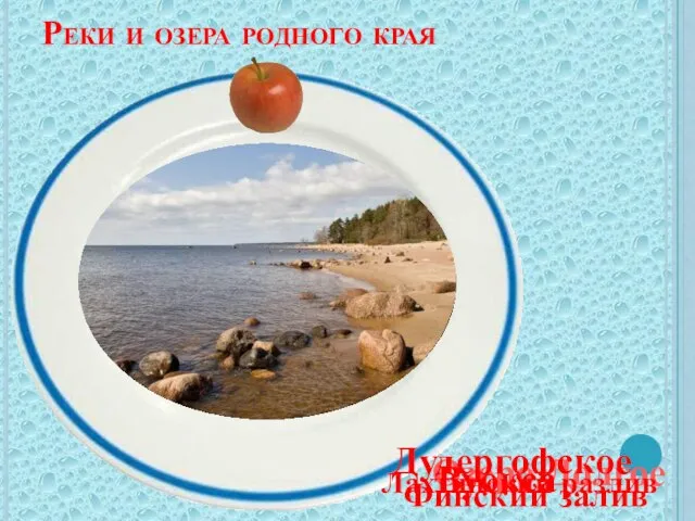 Реки и озера родного края Озеро Долгое Дудергофское Вуокса Лахтинский разлив Финский залив