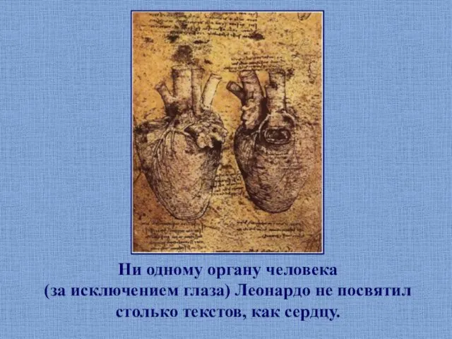 Ни одному органу человека (за исключением глаза) Леонардо не посвятил столько текстов, как сердцу.