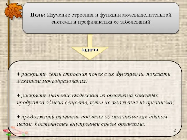 Цель: Изучение строения и функции мочевыделительной системы и профилактика ее заболеваний задачи