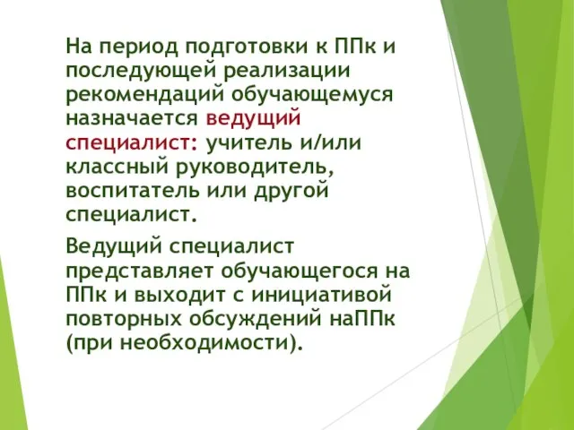 На период подготовки к ППк и последующей реализации рекомендаций обучающемуся назначается ведущий