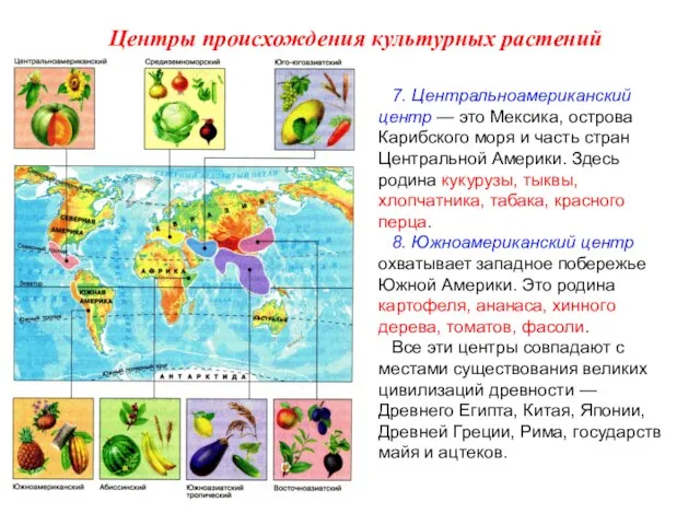 7. Центральноамериканский центр — это Мексика, острова Карибского моря и часть стран