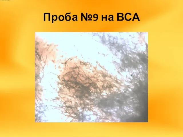 Проба №9 на ВСА