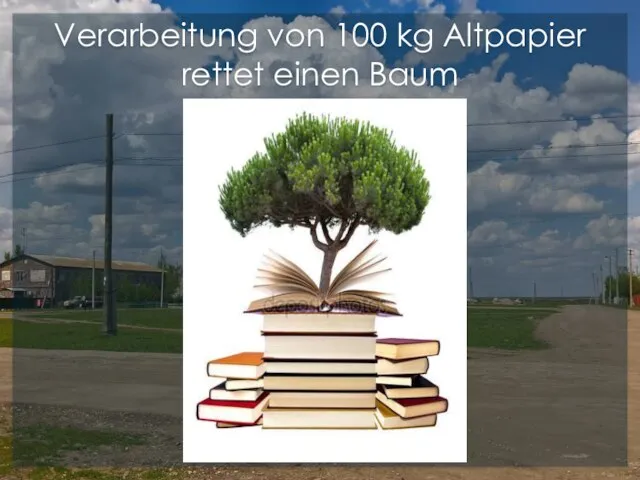 Verarbeitung von 100 kg Altpapier rettet einen Baum