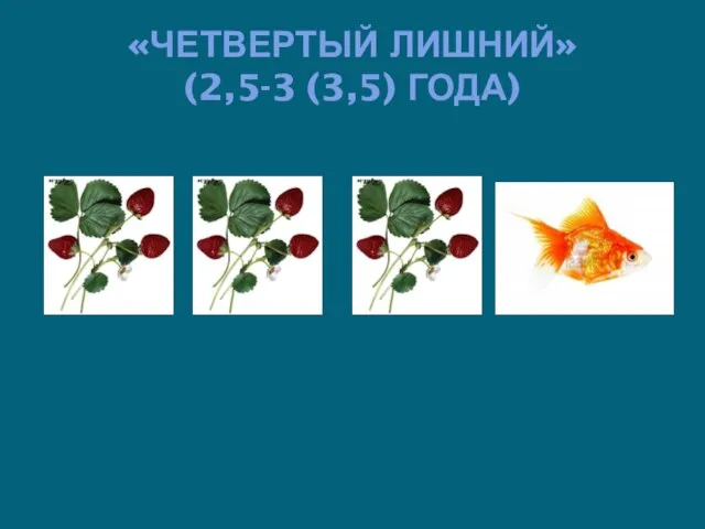 «ЧЕТВЕРТЫЙ ЛИШНИЙ» (2,5-3 (3,5) ГОДА)