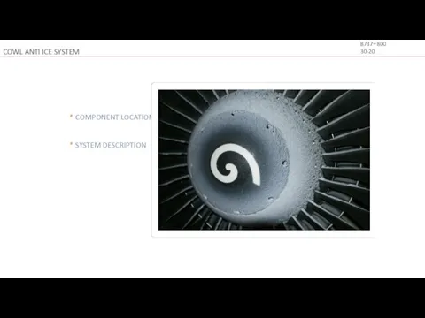 COWL ANTI ICE SYSTEM B737−800 30-20 * COMPONENT LOCATION * SYSTEM DESCRIPTION