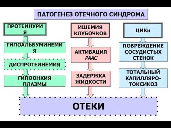 ПАТОГЕНЕЗ ОТЕЧНОГО СИНДРОМА