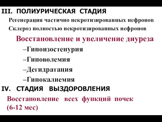 III. ПОЛИУРИЧЕСКАЯ СТАДИЯ Регенерация частично некротизированных нефронов Склероз полностью некротизированных нефронов Восстановление