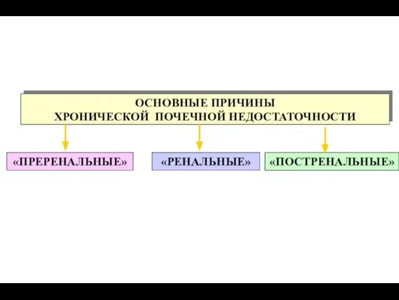 ОСНОВНЫЕ ПРИЧИНЫ ХРОНИЧЕСКОЙ ПОЧЕЧНОЙ НЕДОСТАТОЧНОСТИ «ПРЕРЕНАЛЬНЫЕ» «ПОСТРЕНАЛЬНЫЕ» «РЕНАЛЬНЫЕ»