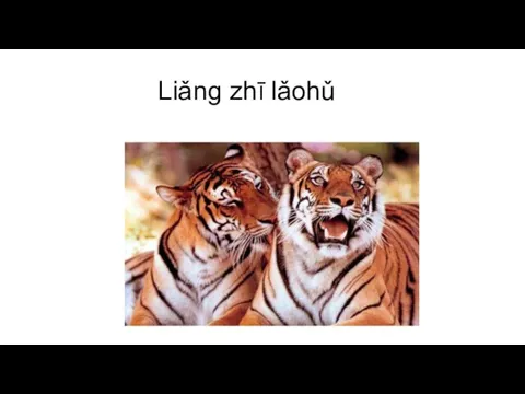 Liǎng zhī lǎohǔ