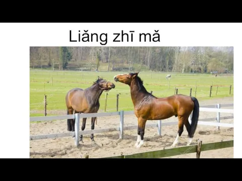 Liǎng zhī mǎ
